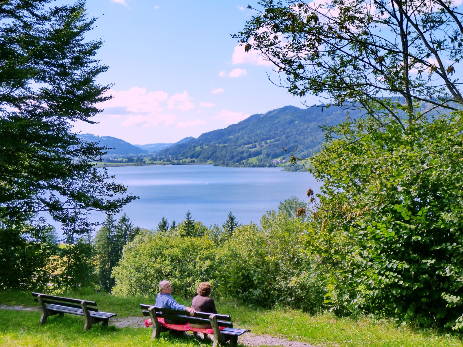 Blick über den Großen Alpsee bei Immenstadt von einer Bank am Waldrand