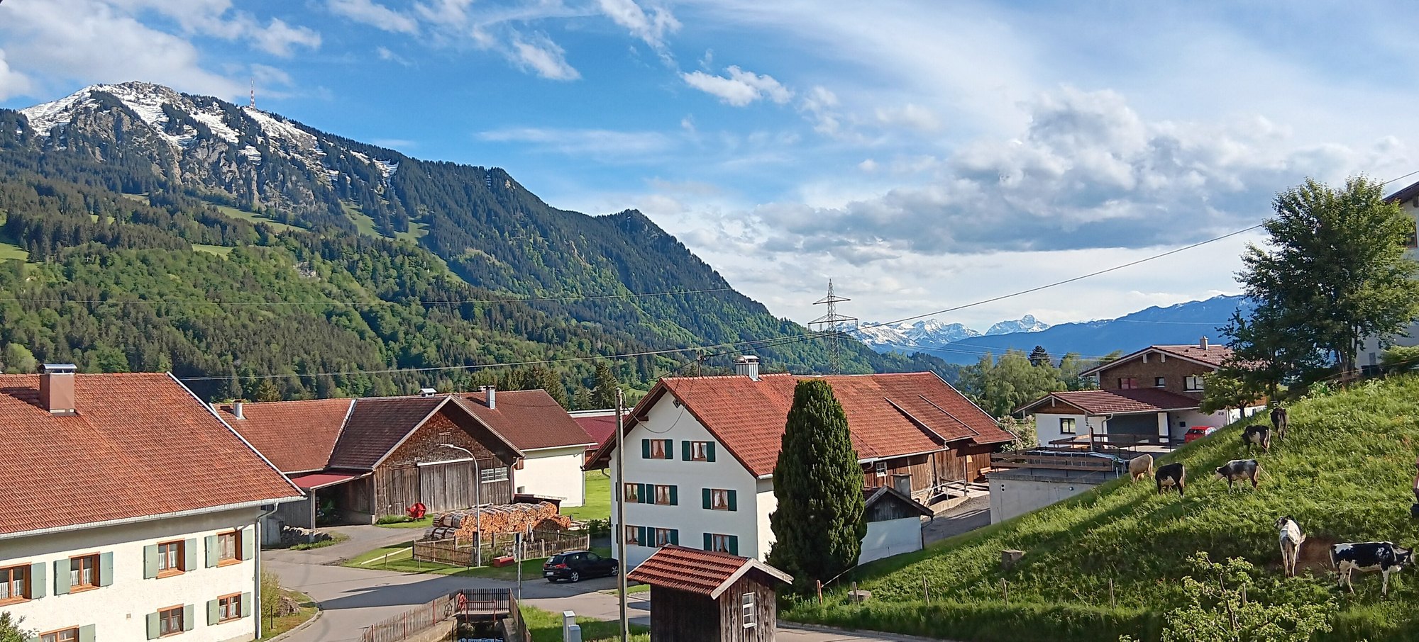Abendlicher Blick vom Balkon über Kalchenbach – Rinder auf der Weide, dahinter die Berge